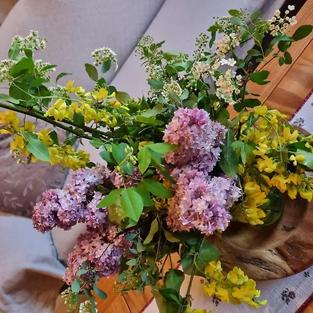 In Einach Nahe Skipisten