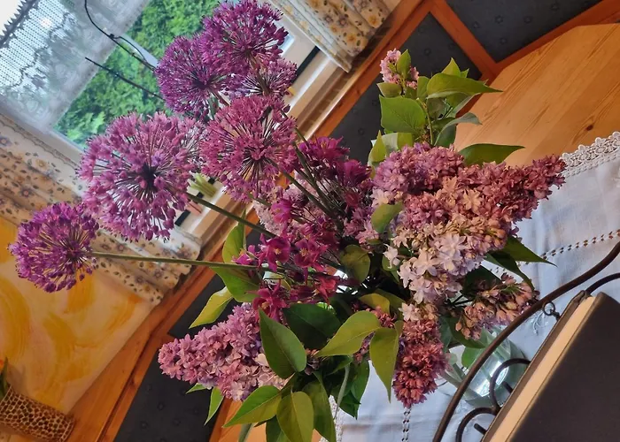 度假居 In Einach Nahe Skipisten Stadl an der Mur