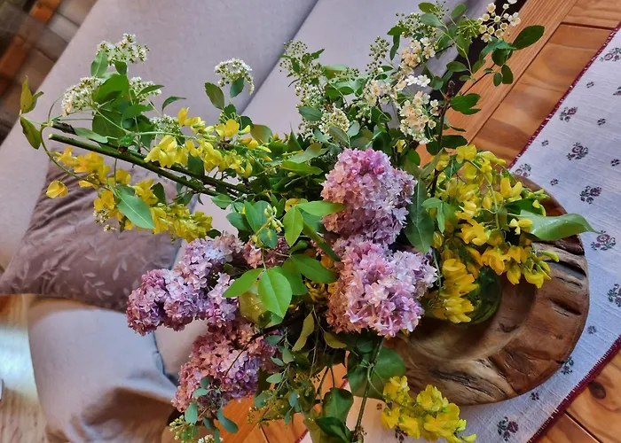 In Einach Nahe Skipisten