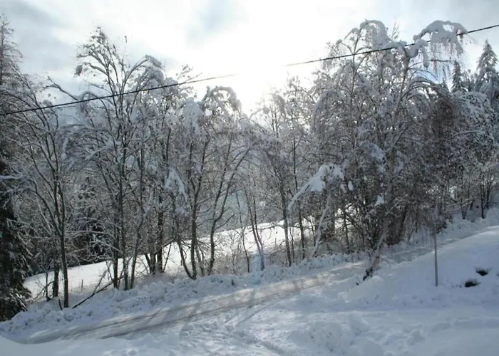 In Einach Nahe Skipisten 度假居